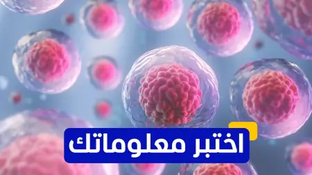 related_news_inside_blogsاختبر معلوماتك عن الخلايا الجذعية