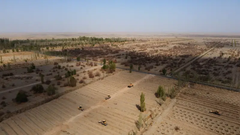 استمرت 46 عاما.. الصين تنتهي من أكبر حملة لإنهاء التصحّر