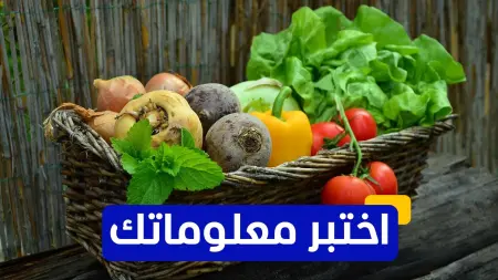 اختبر معلوماتك - أي خضار نأكله يوميا.. لكنه يُصنَّف علميا كفاكهة؟