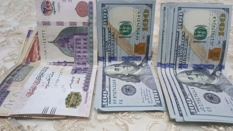 أسعار العملات في مصر اليوم الأحد 8 سبتمبر 2024.. هل يفعلها الجنيه مجددًا؟