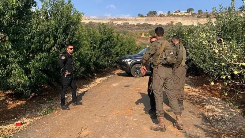 إصابة 6 عمال تايلانديين بانفجار ذخائر قديمة شمال إسرائيل