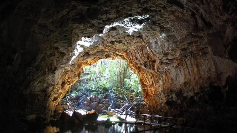خطوة إستراتيجية.. إدارة ترامب تستثمر في قطاع المعادن الأرضية النادرة