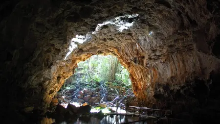 related_news_inside_blogsخطوة إستراتيجية.. إدارة ترامب تستثمر في قطاع المعادن الأرضية النادرة