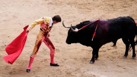 related_news_inside_blogsرغم اعتزاله.. ثور يقتل مصارعا إسبانيا داخل الحلبة