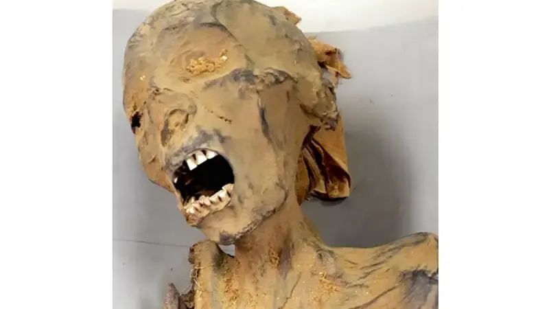 دراسة تكشف سر مومياء "المرأة الصارخة" المصرية