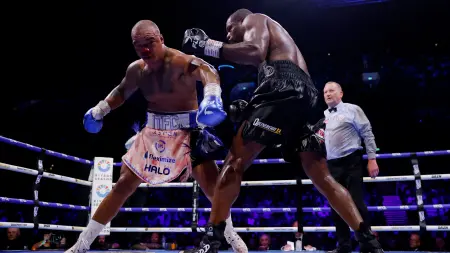 related_news_inside_blogsدانييل دوبوا يهزم فابيو واردلي ويحرز لقب الوزن الثقيل لمنظمة "WBO"