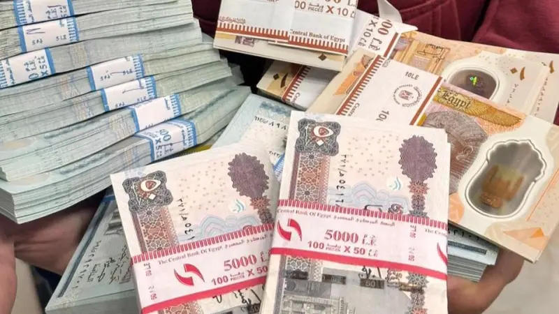 مواعيد صرف منحة العمالة غير المنتظمة في مصر وقيمتها