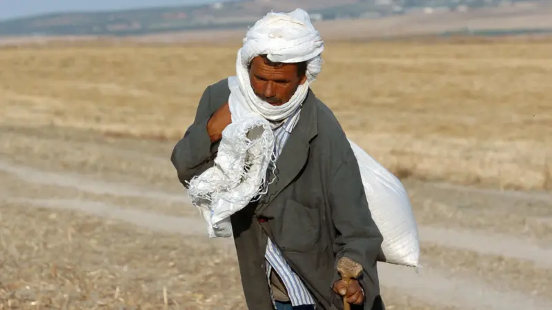 الخامسة عالميا.. التغيّر المناخي يوجه ضربة قاسية للاقتصاد التونسي