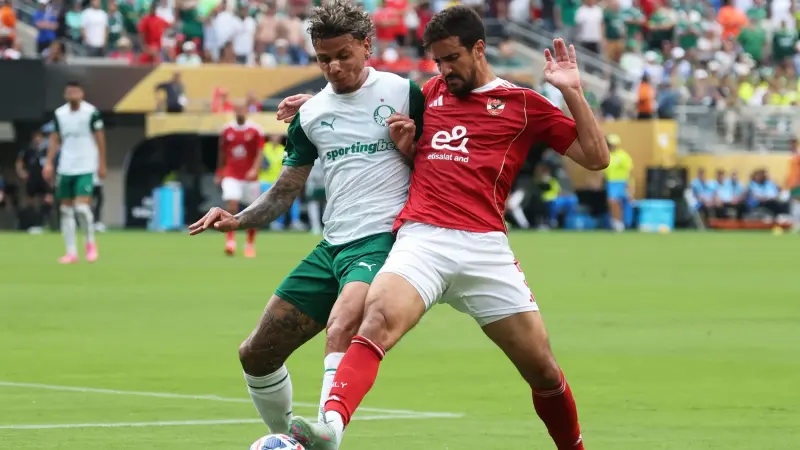 تألق في كأس العالم للأندية 2025.. بنفيكا يخطف موهبة بالميراس