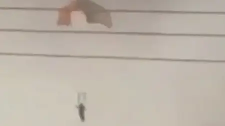 related_news_inside_blogsأميركا تعترف بسقوط 3 مقاتلات إف-15 في الكويت وتكشف السبب