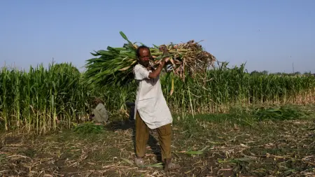 أزمة مضيق هرمز تتحول إلى تهديد مباشر للغذاء في العالم.. ما السبب؟