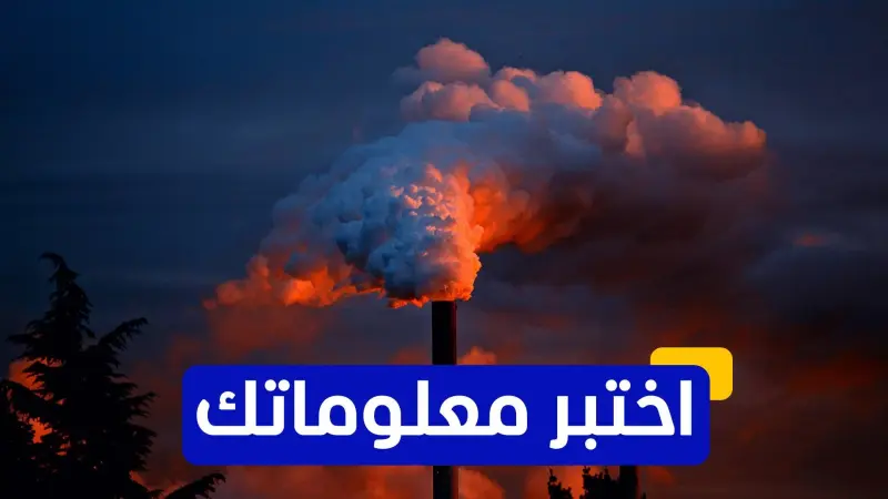 اختبر معلوماتك - أي من الحيوانات مهددة بالانقراض بسبب تغير المناخ؟