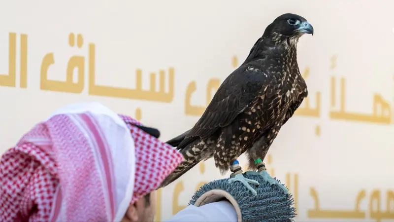 معرض الصقور والصيد السعودي 2026 يجمع التقنية والتراث في الرياض