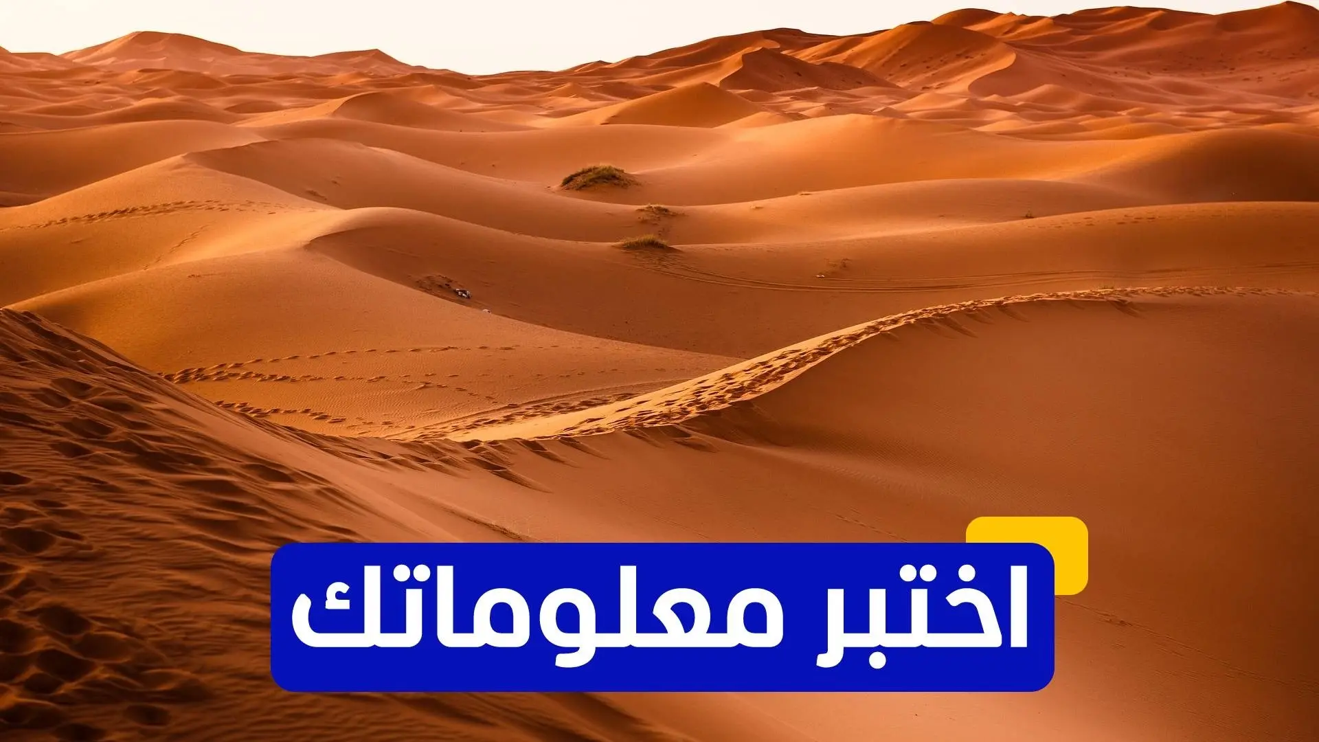 موريتانيا تطلق حملة لمحاربة التصحر موريتانيا تطلق حملة لمحاربة التصحر