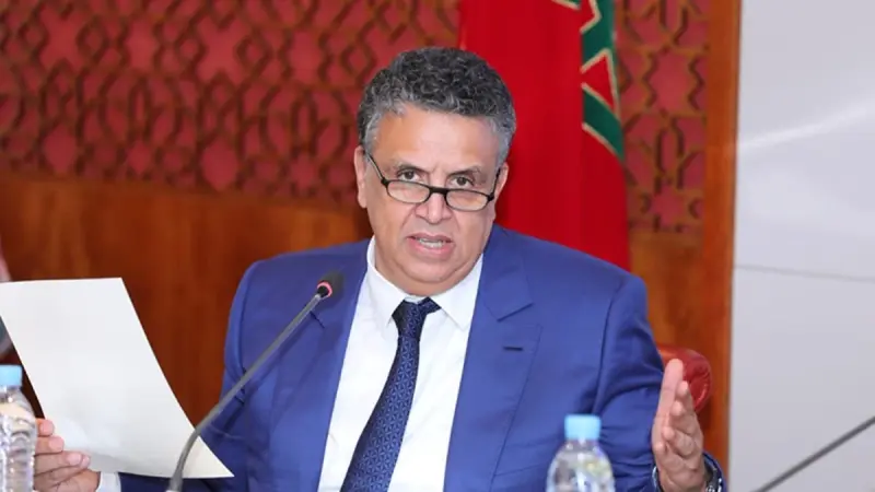 فيديو - وزير العدل المغربي لـ"المشهد": حملات تحريض واسعة كانت وراء حشود أحداث سبتة