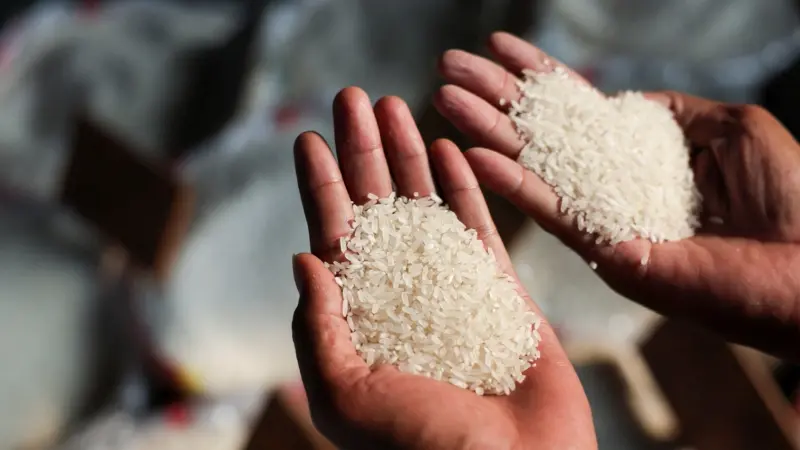 منتجات أرز تُثير مخاوف في أميركا.. ما القصة؟