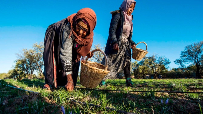 المغرب يتوقع موسما فلاحيا أفضل بعد قفزة مخزون السدود 