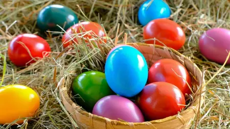 related_news_inside_blogsموعد شم النسيم 2026.. تفاصيل الإجازة الرسمية وأجندة العطلات في مصر