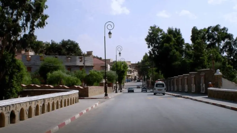 بوغزول في الجزائر.. إعلان هام موجه للمستثمرين