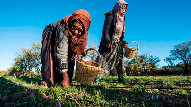 البنك الدولي: إصلاحات أعمق متوقعة في المغرب