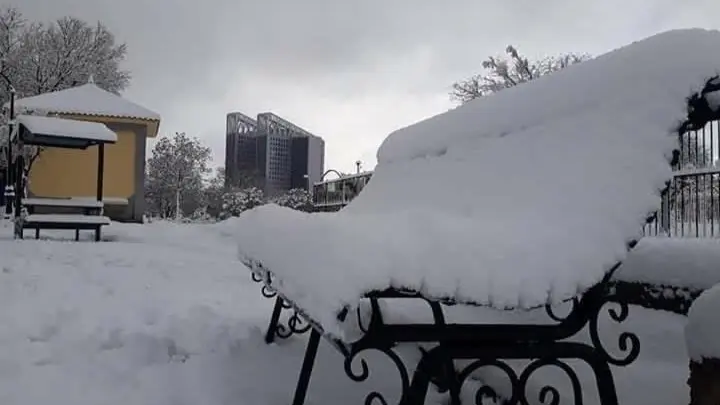 الأرصاد الجوية تحذر من أمطار وثلوج على عدة ولايات في الجزائر