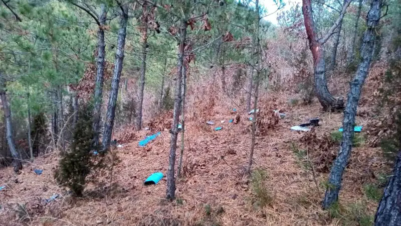 شقيقة كيم جونع أون تدعو سيول للتحقيق في حوادث الطائرات المسيرة