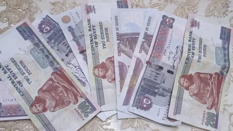 سعر الدولار مقابل الجنيه المصري اليوم الاثنين 10/8/2026.. تراجع "الأخضر"