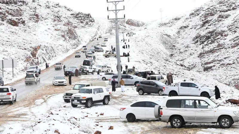 فيديو - تساقط ثلوج مفاجئ في السعودية.. جبل اللوز يكتسي بالبياض