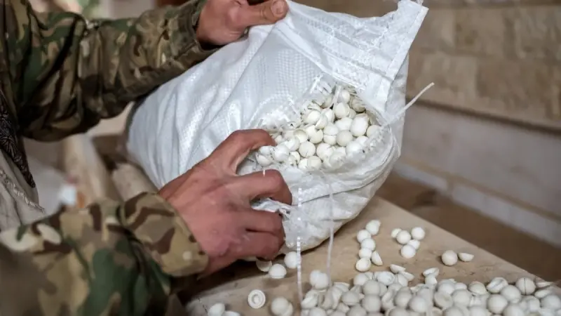 الجيش الأردني يُحبط تهريب مخدرات عبر بالونات موجهة