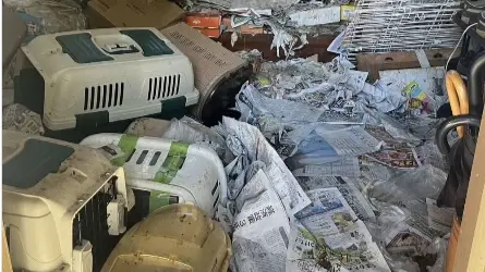 صور - مقبرة القطط.. من متطوّعة إلى بطلة كابوس في اليابان