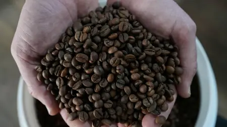 related_news_inside_blogsتقرير: إنتاج البن عالميا سيصل قريبا لأعلى مستوى على الإطلاق