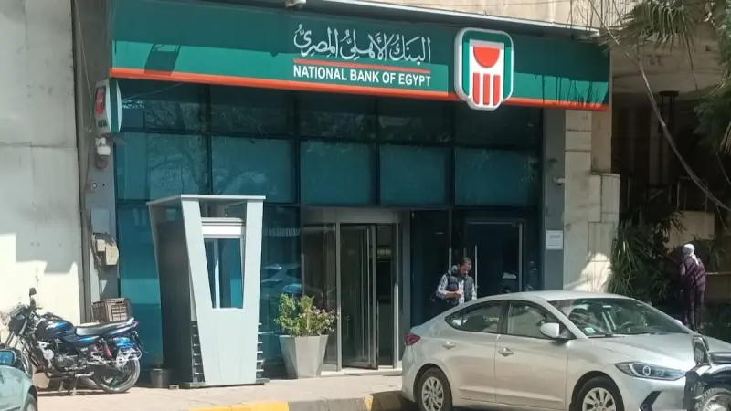 سعر الدولار مقابل الجنيه المصري اليوم الثلاثاء 17/2/2026.. هبوط محدود