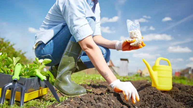 المبيدات الزراعية تنافس التدخين في خطر الإصابة بالسرطان