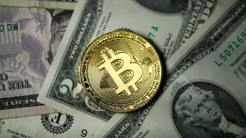 أموال ضخمة.. قصة منصة "هوج بول" التي نهبت مئات المصريين