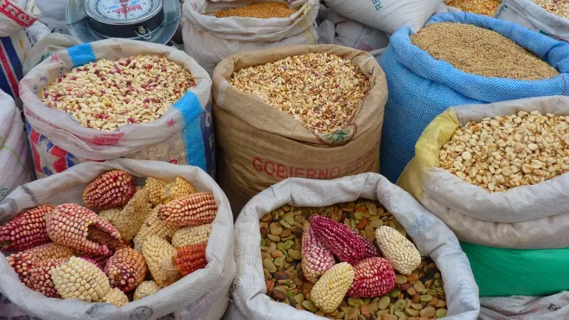 مطابخ الفقراء في بيرو تحضر أطباقا من بقايا مكوّنات الطعام