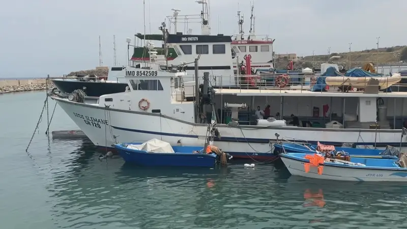 فيديو - وزارة الصيد البحري بالجزائر تقر سلسلة إجراءات لدعم الصيادين