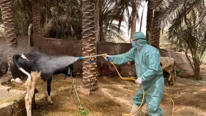 تسببت بوفيات في العراق.. ماذا تعرف عن الحمّى النزفية؟