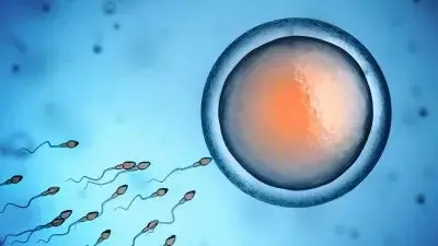 علماء يكشفون عن تهديد غير مرئي لخصوبة الرجال