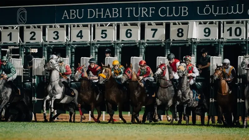 كأس رئيس الدولة للخيول العربية الأصيلة.. أبوظبي تحتفي بالفخامة والإرث العريق