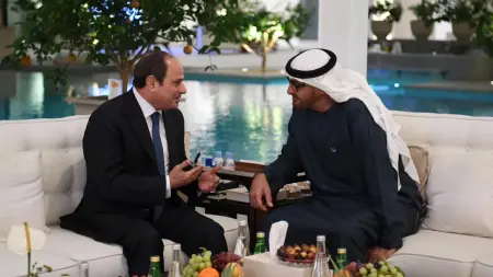 محمد بن زايد والسيسي يبحثان سبل تعزيز العلاقات بين البلدين