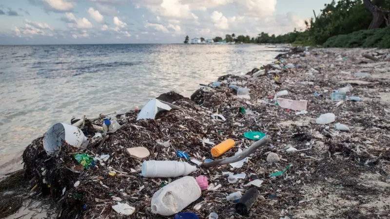 المحيطات تختنق بالبلاستيك من السطح إلى القاع
