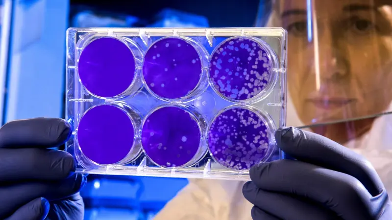 "إيريس".. ماذا تعرف عن متحوّر كورونا الجديد؟