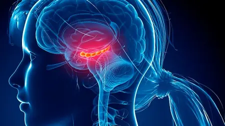 related_news_inside_blogsكيف تُقلل عمر دماغك البيولوجي في 3 أشهر فقط؟