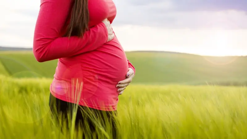 الجدول الصيني 2024 للحمل بولد.. ما هو جنس الجنين؟