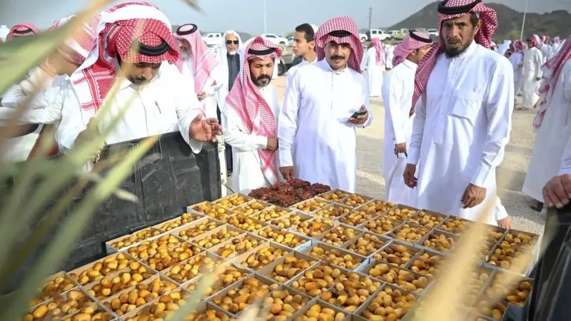 انطلاق فعاليات مهرجان السمن والسمين.. وإقبال كبير من الجمهور