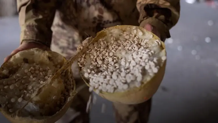 فيديو - سقوط الأسد يفتح أبواب الجحيم على أباطرة المخدرات في سوريا ولبنان