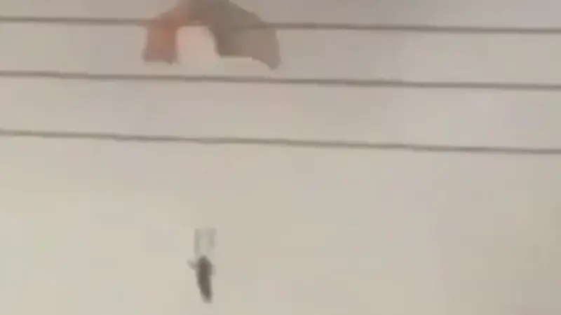 طيار بريطاني متقاعد: البحث عن الطيار الأميركي كلعبة "قط وفأر" في إيران