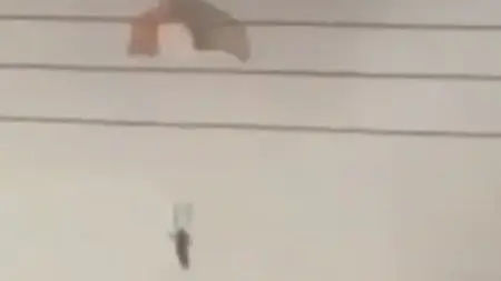 related_news_inside_blogsطيار بريطاني متقاعد: البحث عن الطيار الأميركي كلعبة "قط وفأر" في إيران