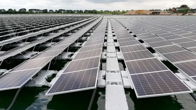 مصر.. طفرة غير مسبوقة في مشروعات الطاقة المتجددة