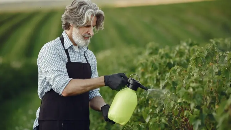 دراسة: تأثيرات دائمة لأحد مبيدات الأعشاب الشائعة على صحة الدماغ